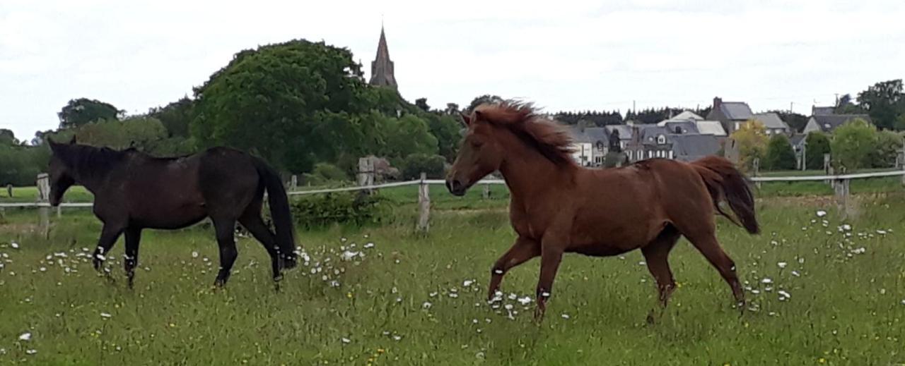 Gite La Bulle En Baie, Proche Mont Saint-Michel, Au Calme, Pour 4 Pers Crollon Buitenkant foto
